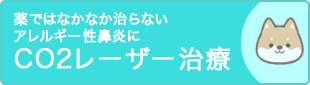 薬ではなかなか治らないアレルギー性鼻炎に CO2レーザー治療のご案内