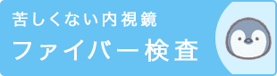 苦しくない内視鏡 ファイバー検査