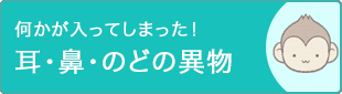 何かが入ってしまった！耳・鼻・のどの異物