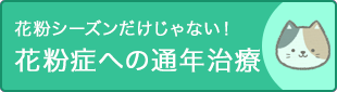 花粉シーズンだけじゃない　花粉症への通年治療