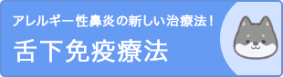 アレルギー性鼻炎の新しい治療法!舌下免疫療法